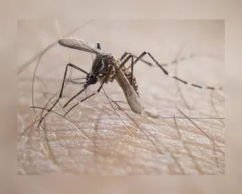 Reino Unido confirma 3 casos de zika; pacientes foram à América do Sul