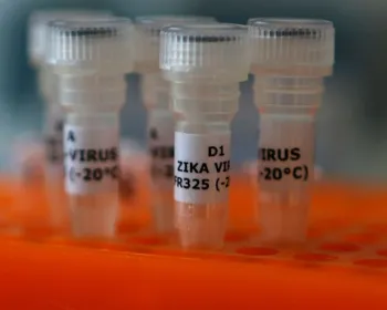 Brasil sonega amostras de zika para pesquisa no exterior, dizem cientistas