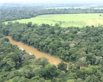 Noruega diz que Fundo Amazônia funciona bem e teme prejuízos