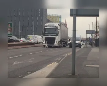 Cisne provoca caos no trânsito no centro de Manchester