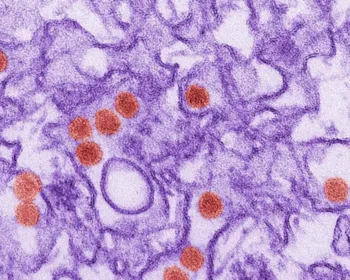 Laboratórios passam a oferecer teste para detectar vírus da zika no sêmen