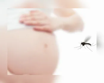 Grávidas devem usar camisinha para evitar transmissão de zika