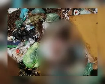 No CE, dois corpos de bebês são encontrados em lixão em Baturité