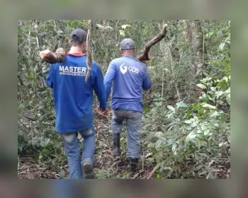 Dupla é presa por suspeita de desmatamento no Santos Dumont