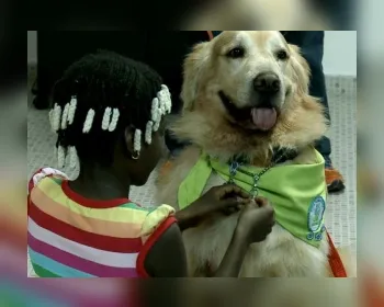 Cães voluntários dão e recebem carinho em abrigo de refugiados de SP