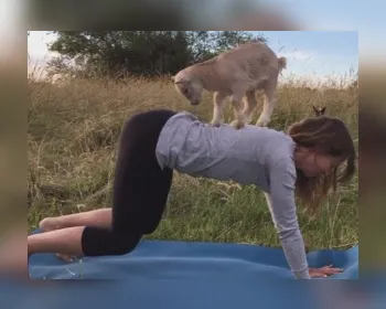 Instrutora pratica ioga com filhote de cabra nas costas nos EUA