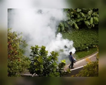 Cingapura confirma 41 casos de transmissão local do vírus zika