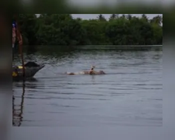Corpo de homem é encontrado na Lagoa Mundaú após denúncia de populares