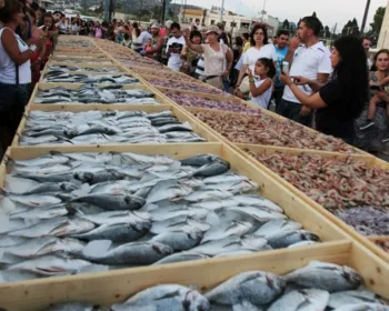 Por recorde, cidade libanesa exibe milhares de peixes e mariscos