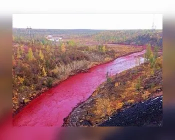 Rússia investiga suposto vazamento no Ártico que deixou rio vermelho    