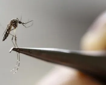 Casos de dengue crescem 264% no Brasil com 229 mil pacientes este ano