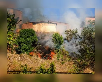 Incêndio em vegetação atinge área verde no São Jorge