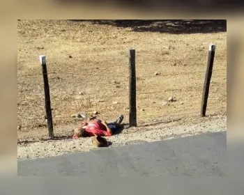 Funcionário de fazenda morre eletrocutado após encostar em cerca de proteção 