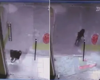 Cão quebra porta de vidro durante perseguição a gato na China