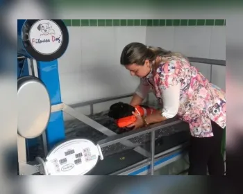Reabilitação fisioterapêutica leva qualidade de vida a animais em Alagoas