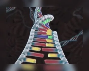 Como cientistas incluíram um 'vírus' de computador em um DNA?