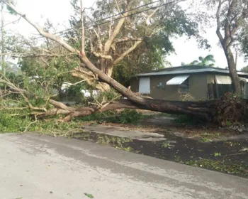 Alagoanos que moram na Flórida registram estragos após passagem do furacão Irma 