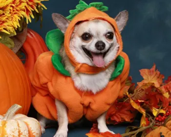Halloween Parque Shopping tem programação especial para os pets
