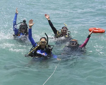 Mergulho nas águas cristalinas e naufrágios históricos atraem turistas a Alagoas