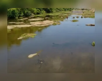 Homem morre afogado em açude em Rio Largo