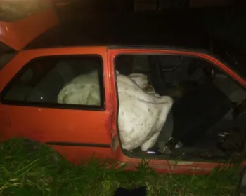 Ladrões furtam boi e fogem com o animal dentro de carro em Tijucas