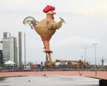 Com atraso de quase 12 horas, galo gigante fica de pé no Centro do Recife