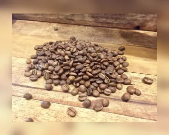 Exportação de café brasileiro aumenta 2,5% em abril