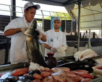Feira do Peixe Vivo movimenta comércio para a Semana Santa