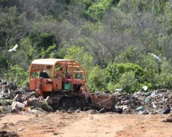 Quase metade dos municípios ainda despeja resíduos em lixões