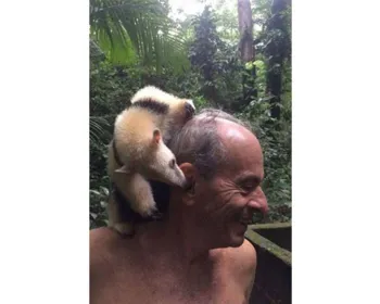 Aos 76 anos, Ney Matogrosso sobe em árvore para salvar filhote de tamanduá 