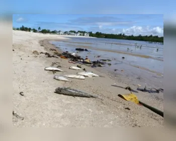 Pescadores cobram do governo solução para a mortandade de peixes em lagoas 