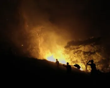 Incêndio atinge pasto e mata fechada na zona rural de União dos Palmares