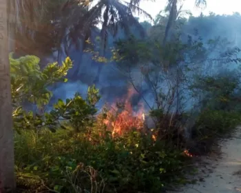 Incêndio atinge área de vegetação na AL-101 Sul, em Marechal Deodoro