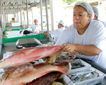 Feira do Peixe Vivo acontece nos dias 17 e 18 no Parque da Pecuária 