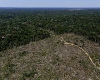 Governo do Tocantins autoriza mais de 500 pedidos de desmatamento