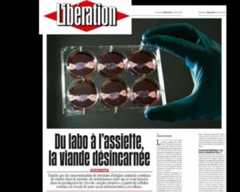 Startup francesa inicia produção do primeiro protótipo de foie gras artificial