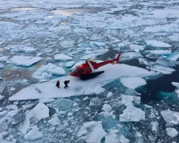 Navio sueco recupera 'canto' de belugas em gravações perdidas no Oceano Ártico