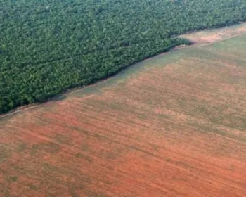 Alemanha diz que vai suspender investimento na Amazônia