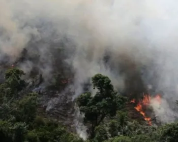 Países da América do Sul se mobilizam contra incêndios florestais