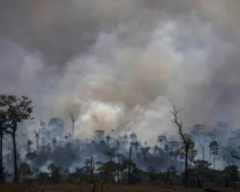 Setembro começa com quase 5 mil focos de queimadas na Amazônia