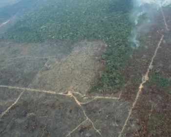 Desmatamento da Amazônia sobe 9,5% e atinge 11 mil km2