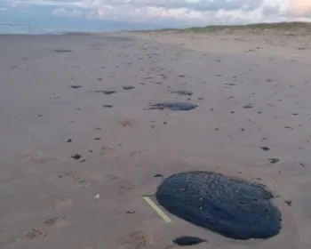 Satélite rastreia origem de petróleo que atingiu 114 praias do Nordeste