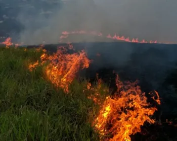 Incêndio destrói dezenas de hectares de pasto em São José da Laje