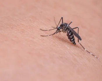 Autoridades da Espanha confirmam primeiro caso de dengue com transmissão sexual