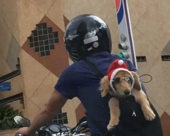 Filhote de cachorro é flagrado com óculos de sol em garupa de moto