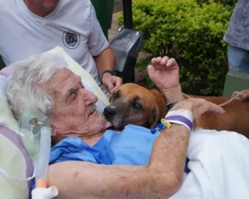  Maca é posta na rua para cão visitar idoso que chora internado