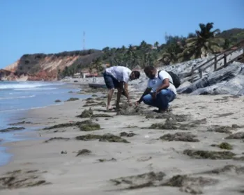 Manchas de óleo voltam a aparecer no litoral cearense após dois meses