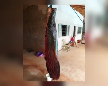 Pescador fisga peixe pirarucu de 110 quilos em SP: 'Virou rotina'