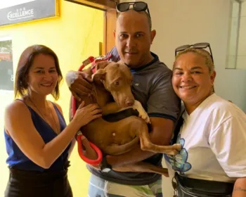 Cadela encontrada em situação de maus-tratos é adotada em Maceió 