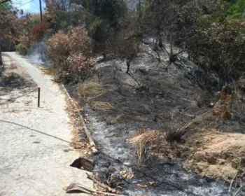 Dono de pousada em Japaratinga teme que fogo atinja mais uma vez a propriedade